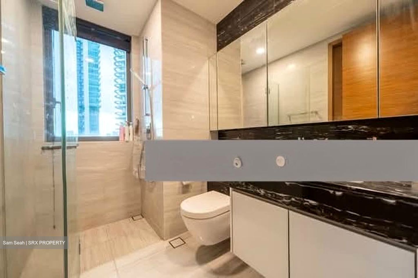 8 Saint Thomas (D9), Condominium #573560491